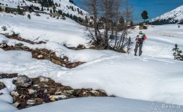 IMG_0730