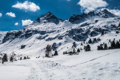 IMG_0729