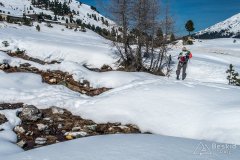 IMG_0730
