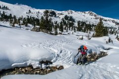 IMG_0732