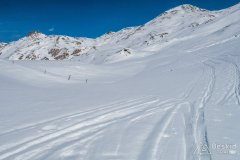 IMG_0735
