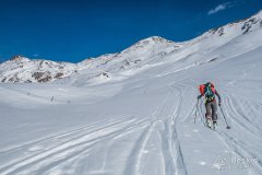 IMG_0736