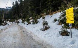 IMG_0748