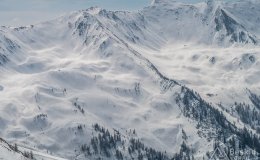 IMG_0767