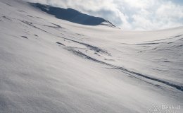 IMG_0795