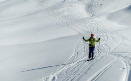 IMG_0801-1