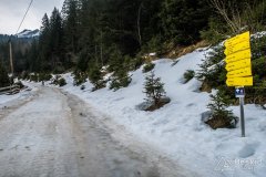 IMG_0748