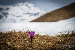 IMG_0757