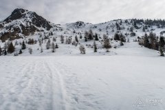 IMG_0762