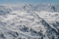 IMG_0765