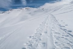 IMG_0771