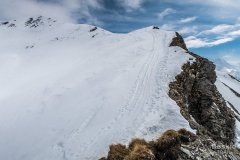 IMG_0772