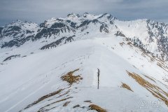 IMG_0781