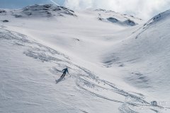 IMG_0785