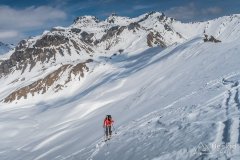 IMG_0789