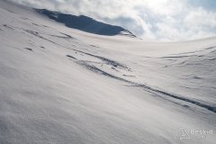 IMG_0795