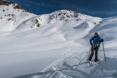 IMG_0799