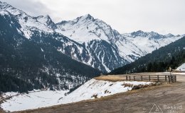 IMG_0805