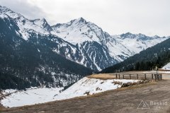 IMG_0805