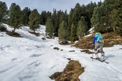 IMG_0807