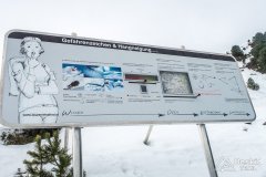 IMG_0811