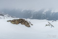 IMG_0816
