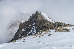 IMG_0828
