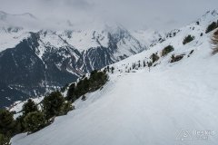 IMG_0843