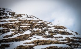IMG_0874