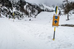 IMG_0845
