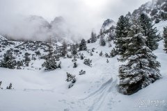 IMG_0848