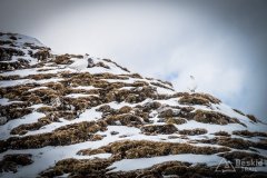IMG_0874