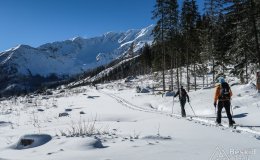 IMG_0929