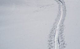 IMG_0949