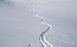 IMG_0959
