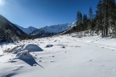 IMG_0928