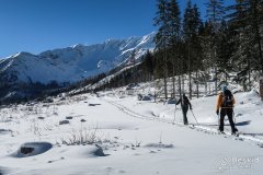 IMG_0929