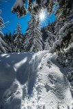 IMG_0930