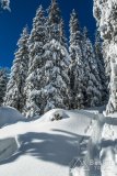 IMG_0931