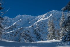 IMG_0932