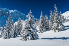 IMG_0937
