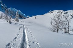 IMG_0938