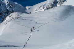 IMG_0941
