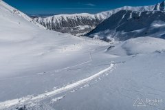IMG_0944