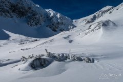 IMG_0946