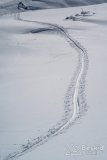 IMG_0949
