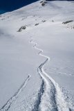 IMG_0959