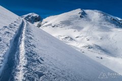 IMG_0976