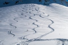 IMG_0980