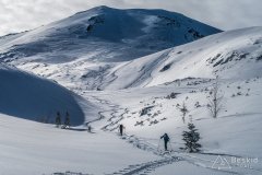 IMG_0987